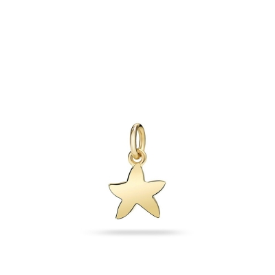 Starfish pendant