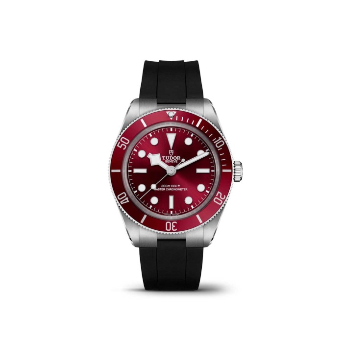 Tudor Black Bay 58
