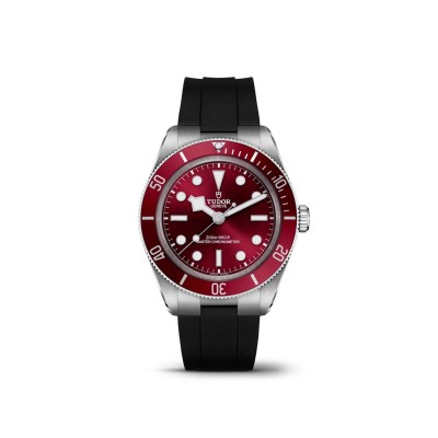 Tudor Black Bay 58