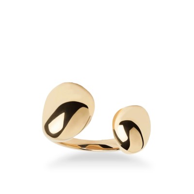 Gravity Ring by PdPaola