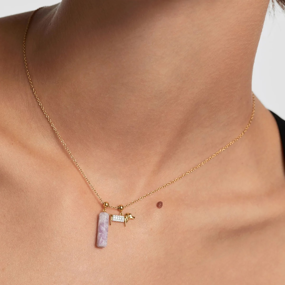 Charm Gos en Plata amb Circonites Blanques de PdPaola