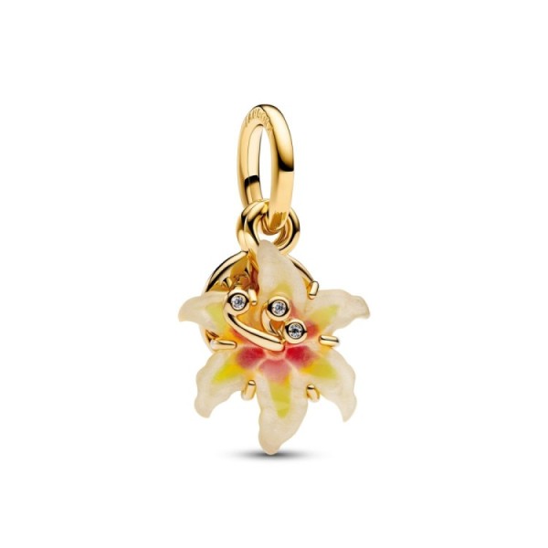 Charm Penjant Cor i Clau Bicolor