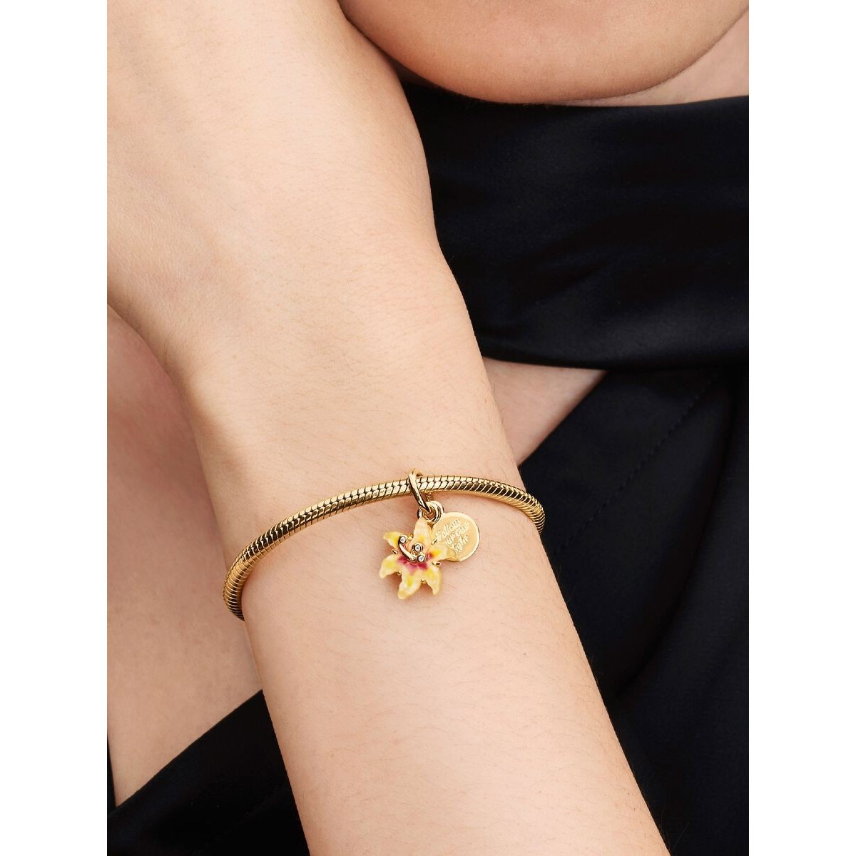 Charm Colgante Doble Corazón y Llave Bicolor