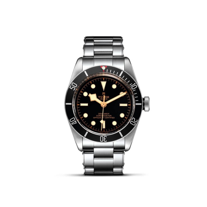 Tudor Black Bay watch in stainless steel with black dial