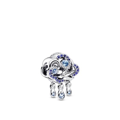 Pandora Moments Cloud and Swallow Charm