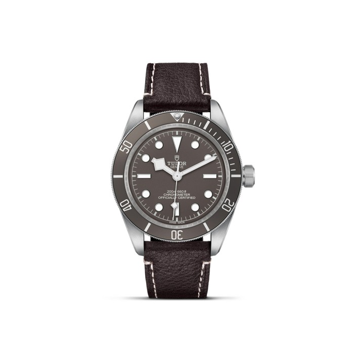 Tudor Black Bay 58 925 Watch