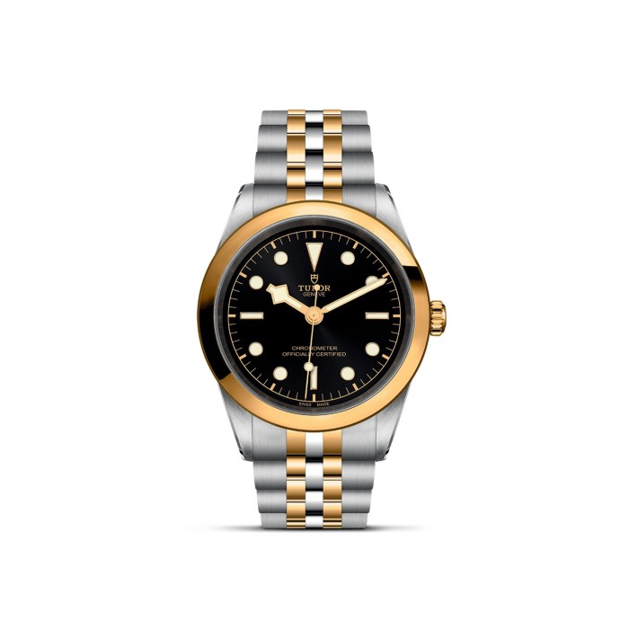 Tudor Black Bay 41 S&G Watch