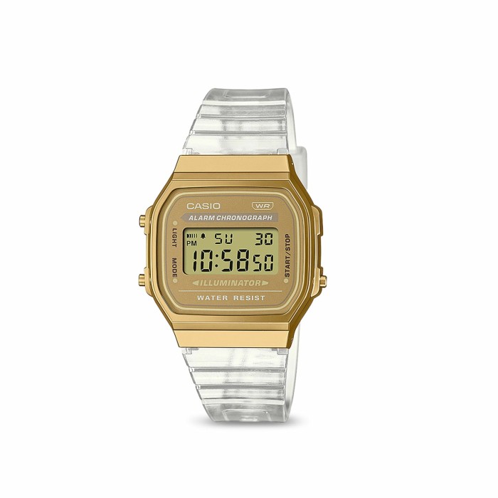 Casio Iconic A168XESG-9A Watch