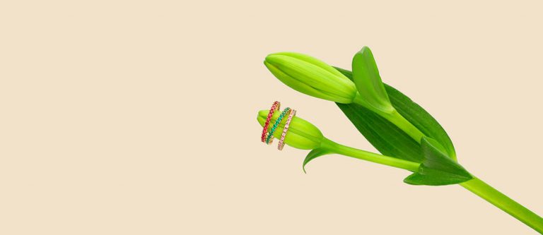 Conoce las joyas Rainbow