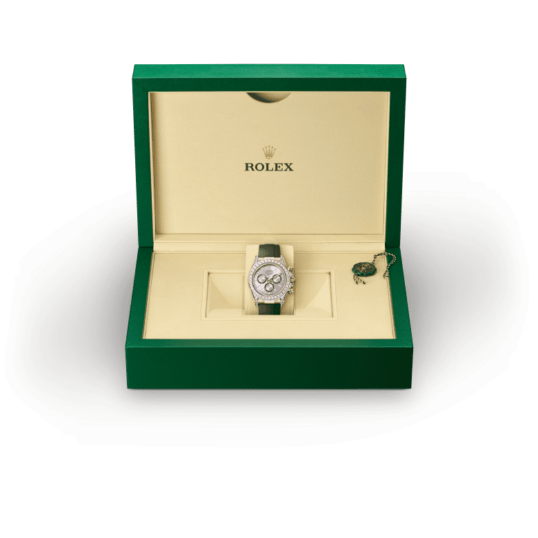 Disponibilitat Rolex Cosmograph Daytona