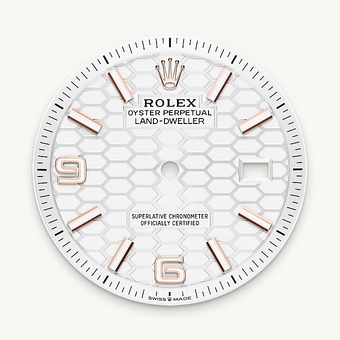 Rolex Land-Dweller 36, Esfera blanc intens