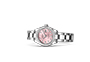 Rolex Watch Lady-Datejust Oystersteel, white gold set with diamonds, y Pink Dial set with diamonds in Joyería Grau