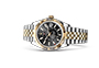 Rolex Sky-Dweller white gold and Steel and bright black dial in Joyería Grau