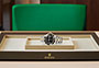 Presentación watchdesk reloj Rolex Sea-Dweller de acero Oystersteel, oro amarillo y esfera negra en Joyería Grau