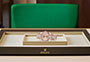 Rolex Day-Date 36 oro Everose y esfera color rosé watchdesk en Joyería Grau