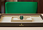 Rolex Day-Date 36 de oro amarillo y esfera verde sombreado engastada de diamantes watchdesk en Joyería Grau