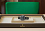 Presentation Rolex Watch Yacht-Master 42 white gold and Falcon’s eye dial  in Joyería Grau