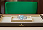 Presentación Rolex Day-Date 40 de platino y esfera azul glaciar  en Joyería Grau