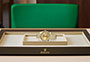 Rolex Day-Date 40 de oro amarillo y esfera color champagne watchdesk  en Joyería Grau