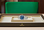 Rolex Day-Date 40 de oro blanco y esfera azul vivo watchdesk en Joyería Grau