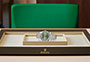 Rolex Day-Date 40 de oro blanco y esfera verde oliva watchdesk en Joyería Grau