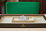 Rolex Day-Date 40 doro blanco y diamantes y esfera meteorito engastada de diamantes en Joyería Grau