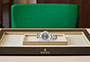 Presentación el reloj Rolex Yacht-Master 37 de acero Oystersteel y platino y esfera pizarra en Joyería Grau