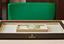 Presentación reloj Rolex Lady-Datejust de oro amarillo, diamantes y esfera de nácar blanco engastada de diamantesen Joyería Grau