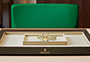 Presentación reloj Rolex Lady-Datejust oro amarillo y esfera color champagne engastada de diamantes en Joyería Grau