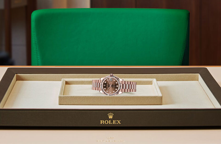 Rolex Watch Datejust 31 Chocolate dial set with diamonds watchdesk in Joyería Grau