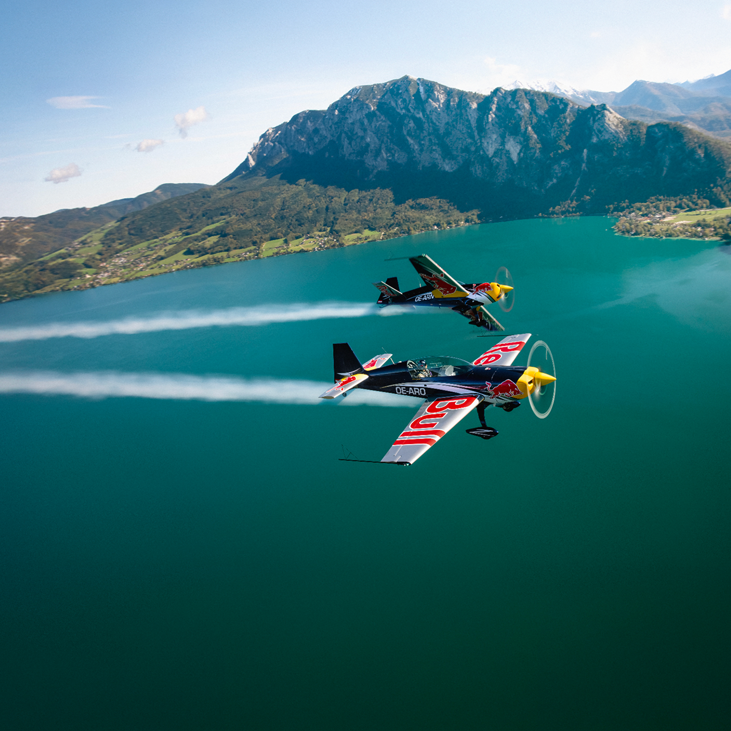 THE FLYING BULLS